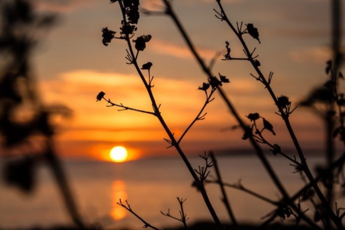 Take personal responsibility