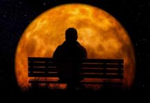 Jim is Not a Superhero Jim is Not a Superhero!