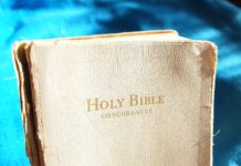 The Bible Salesman Bible Salesman