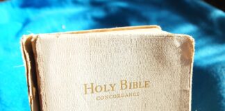 The Bible Salesman Bible Salesman